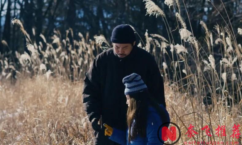 超好看的《邪恶根本不存在/无邪之境》，不愧是国际大奖的作品！