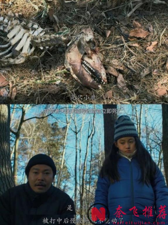 超好看的《邪恶根本不存在/无邪之境》，不愧是国际大奖的作品！