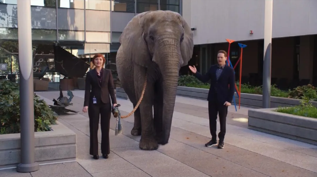 一部充滿幽默和現實批判的美劇《矽谷/矽谷群英/矽谷群瞎傳》,帶你走進網際網路程式設計師的世界