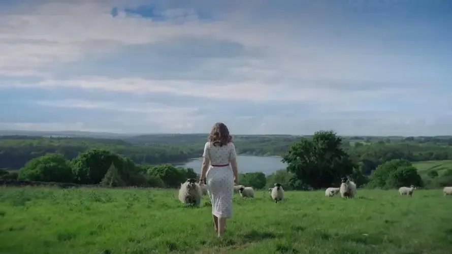 9.5分剧王，这部英剧天花板《万物生灵》值得通宵看完