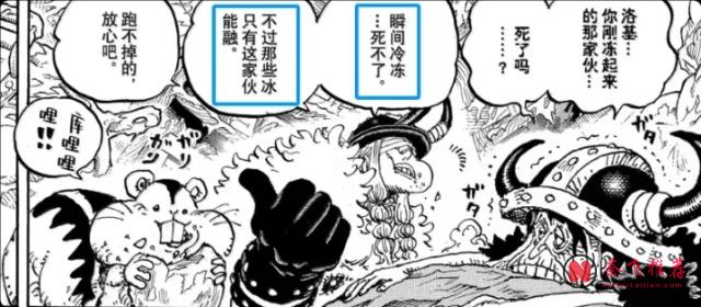 从伊姆契约到恶魔果实，海贼王里可能隐藏着一套神秘的时间法则！？