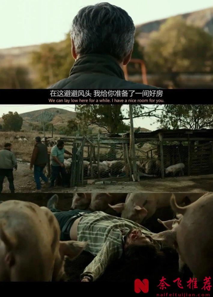 9.0+神作，比《毒枭》更狠的犯罪剧天花板《零零零》！