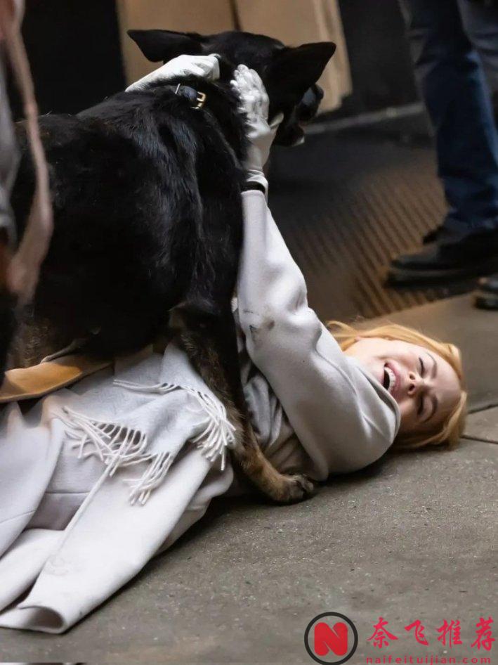 A24出品的《乖女孩/小心肝儿》，白富美CEO与小鲜肉员工大玩主仆游戏！