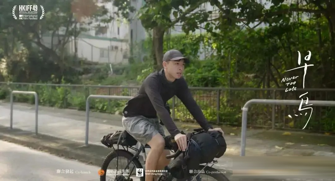 别急着给港片写悼词：被低估的 6 部港片，后劲比想象中大太多