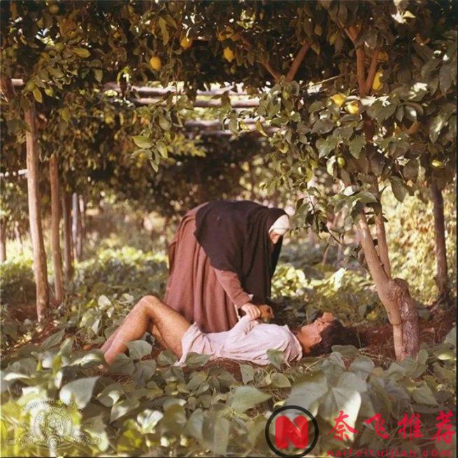 Netflix新黑色大尺度喜劇《翡冷翠十日談》，末日危機籠罩下，貴族們齊聚一堂卻各懷鬼胎！