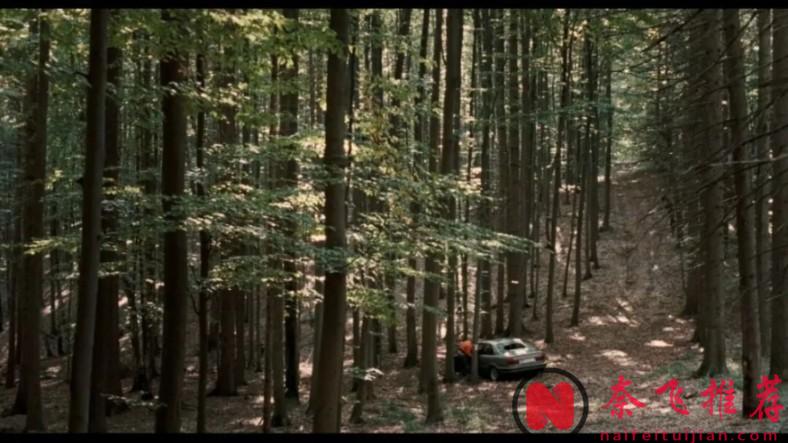 大胆敢拍的复仇电影《复仇/维也纳复仇/把哀伤留给复仇》，这种方式，实在令人难以接受