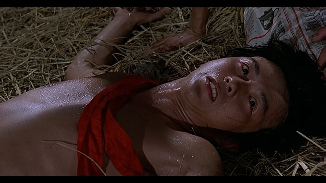 香港有史以來最震撼的電影《打蛇》，上映兩天後就被下架