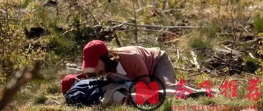 有人稱之為爛片，卻有更多的人奉之為神作，這部