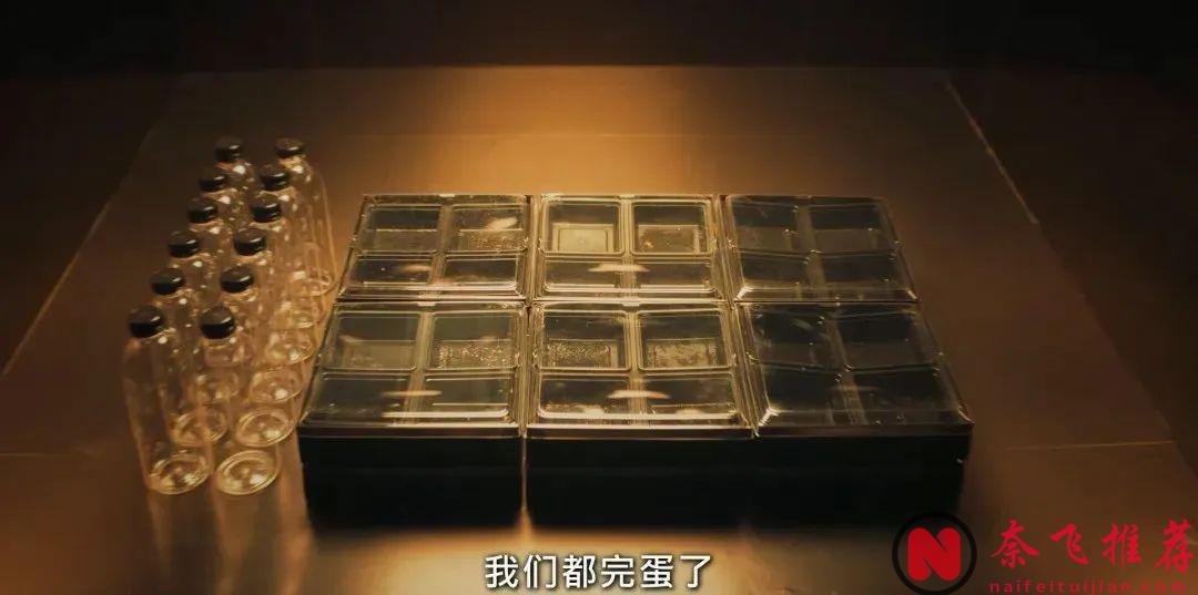 延續《魷魚遊戲》的題材和勁爆尺度，Netflix《第8個秀》又要爆了！