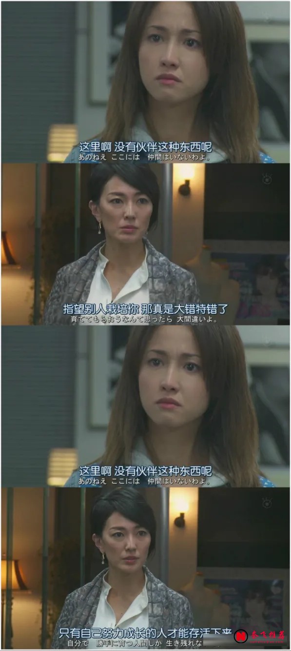冷門好劇清單：內耗與劇荒時期最該補的七部作品