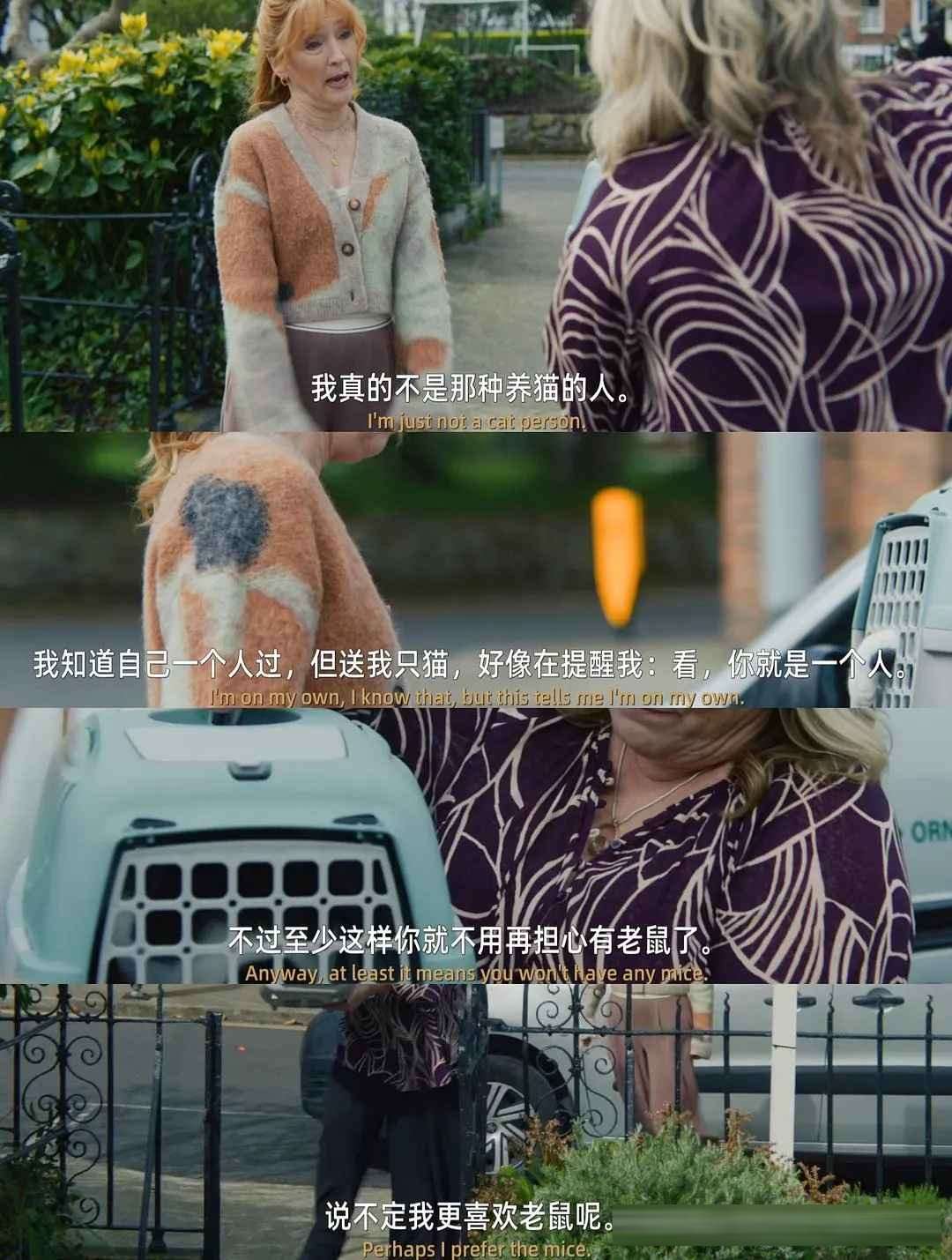《翠鳥謀殺案》回歸：蘇珊·賴蘭系列完結篇，案中案玩到極致