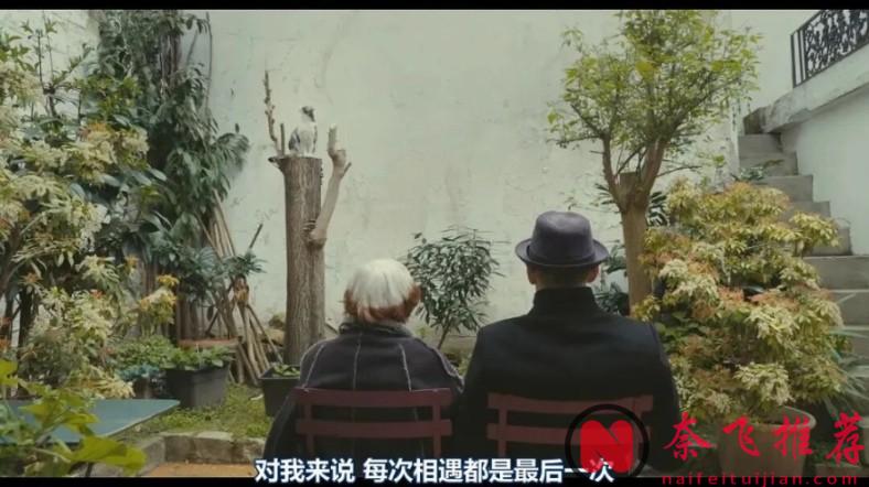9.1分的法国纪录片《脸庞，村庄/眼睛相旅行/最酷的旅伴》，可以算影史经典了吧！