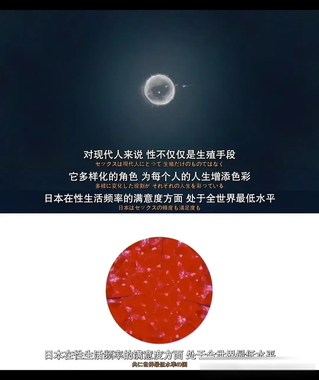 Netflix 日剧《S&X》:中岛健人演性治疗师,把难以启齿拍成年度治愈