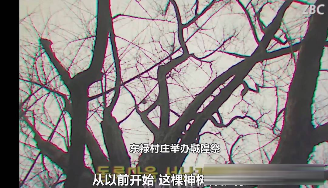 韩国短篇鬼片《鬼市》解析:五个故事,一个「贪」字