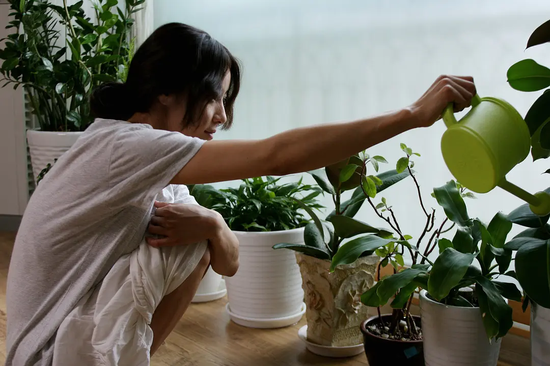 诺贝尔文学奖影视化作品《素食主义者》，拒绝肉食抵抗世界有用吗？