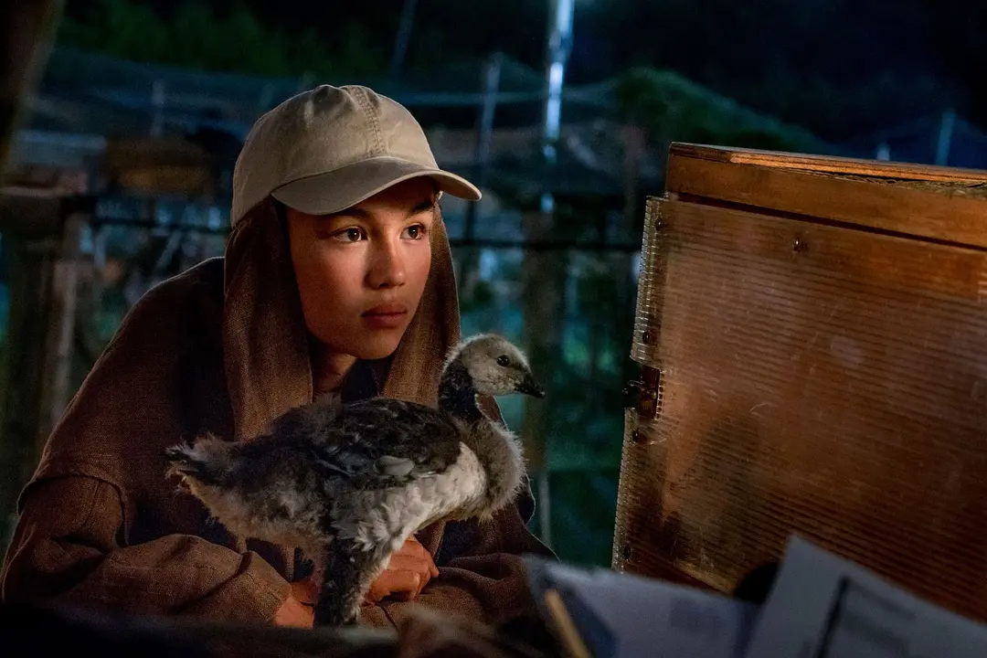 推荐5部高分奇遇冒险电影，惊险刺激的旅途让人心惊胆战