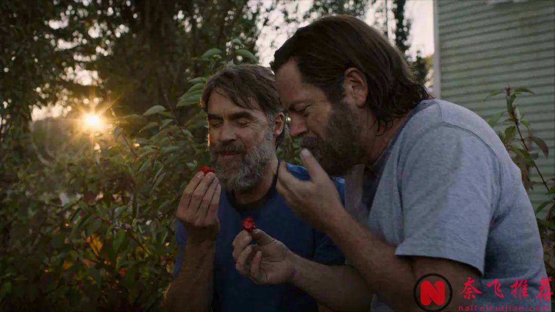 9.0分神剧《最后生还者2》回归，第三集封神！这剧太惊艳，难怪全网夸！