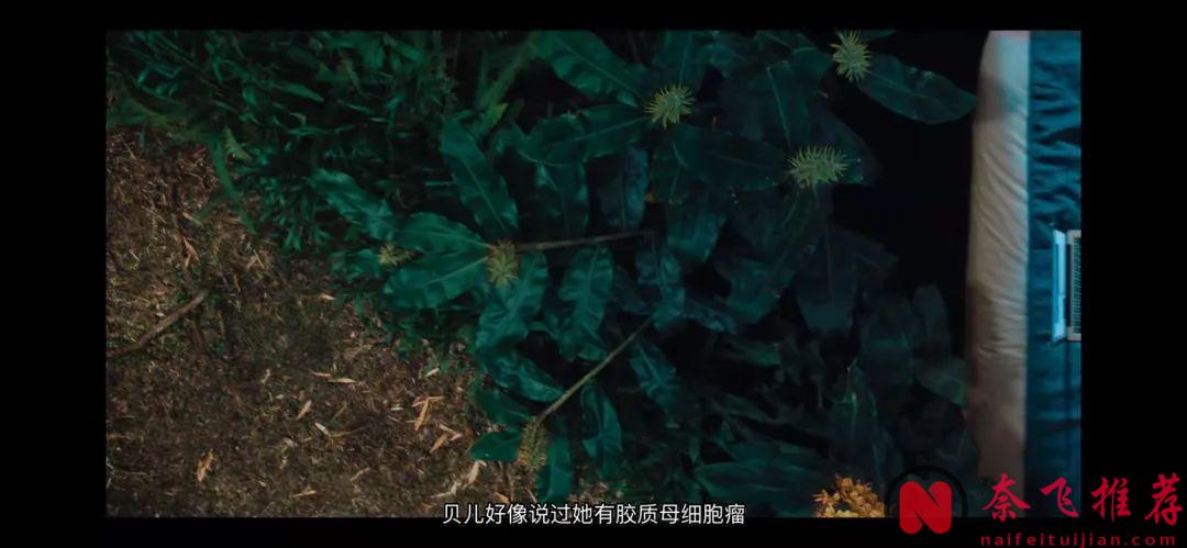 今年最讽刺的美剧《神效苹果醋》，终于等到了！