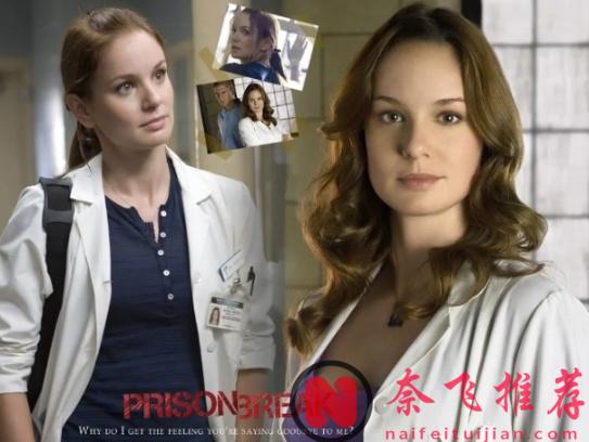 近20年整个华人圈里人气热度最高的美剧TOP10！你的美剧启蒙是哪部？