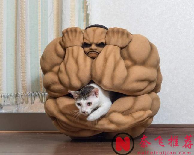 奇葩周邊哪家強？奧利巴球必稱王！