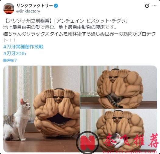 奇葩周邊哪家強？奧利巴球必稱王！