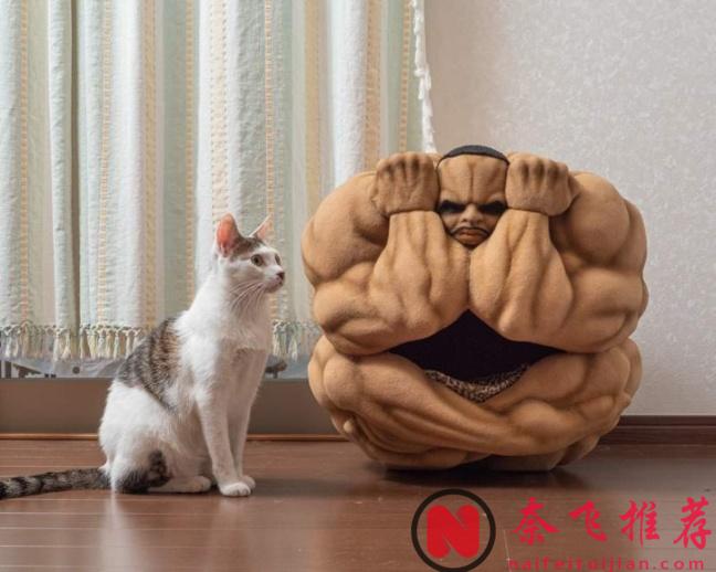 奇葩周邊哪家強？奧利巴球必稱王！