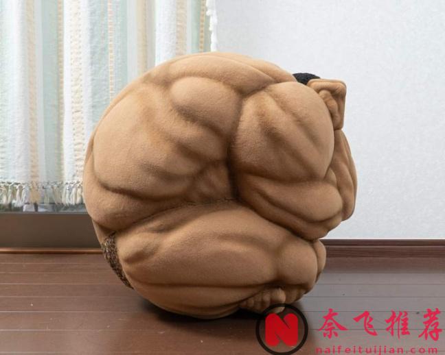 奇葩周邊哪家強？奧利巴球必稱王！