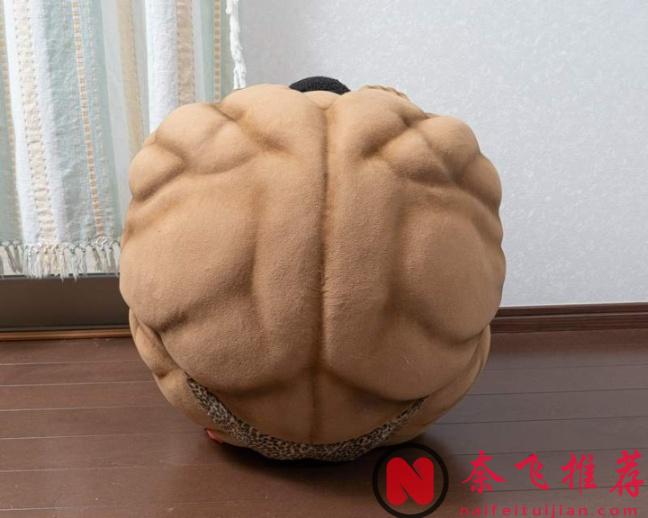 奇葩周邊哪家強？奧利巴球必稱王！