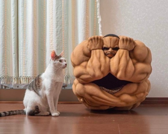 奇葩周邊哪家強？奧利巴球必稱王！