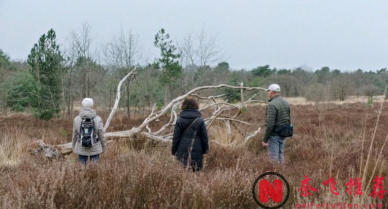 太獵奇了，這題材都能拍成電影！