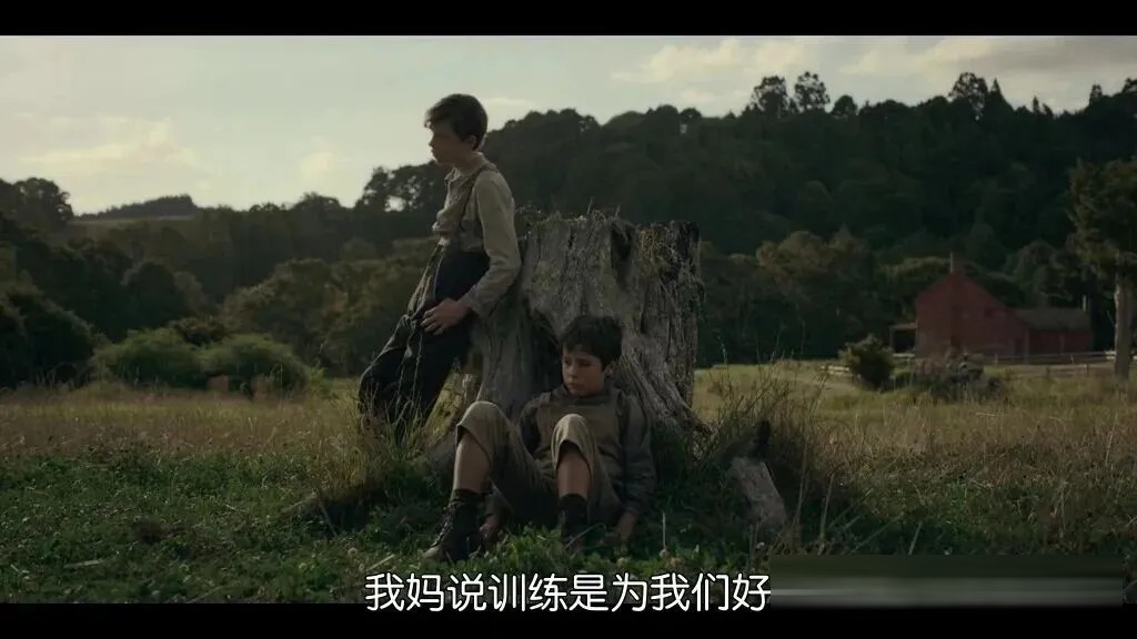 Netflix短剧片单:5部已上线作品,从《伊甸园之东/伊甸园东》到《掌舵少女》