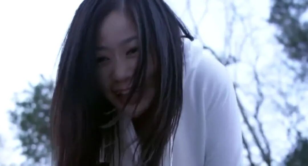 重口味電影《冰冷熱帶魚/冷血金魚佬》，內容大膽又瘋狂，沒有其他國家敢拍這樣變態的