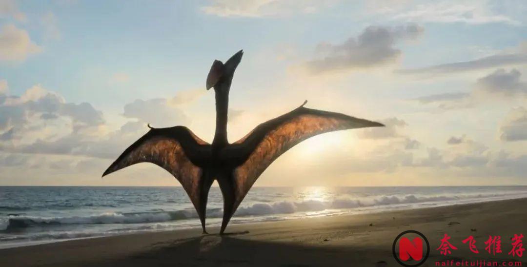 BBC 攜手 Apple TV+ 最高階的 CGI 技術打造的一部獨一無二的恐龍紀錄片