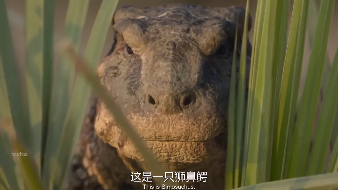 BBC 攜手 Apple TV+ 最高階的 CGI 技術打造的一部獨一無二的恐龍紀錄片