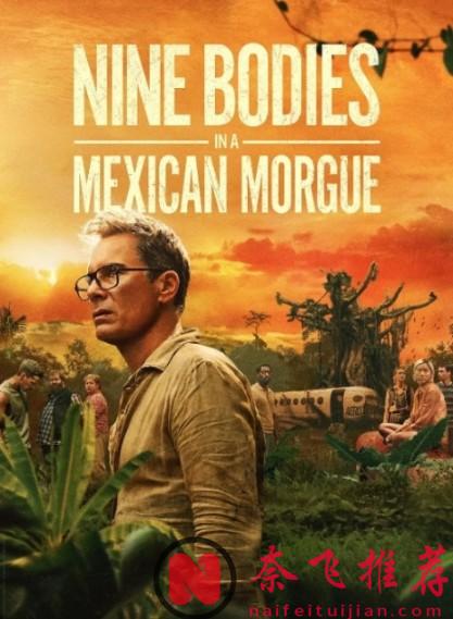 2025最新驚悚推理力作《墨西哥太平間的九具屍體》！飛機意外墜毀，倖存者卻一一被謀殺，誰纔是隱藏的真兇？