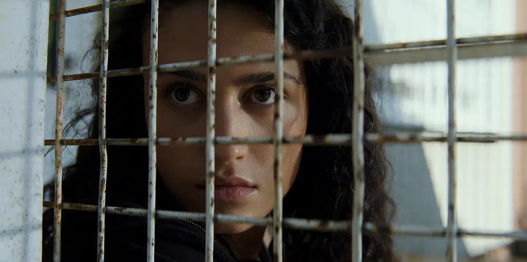 一口气刷4集，这部R级新美剧《终极名单:黑狼/终极名单：暗夜之狼》太过瘾了