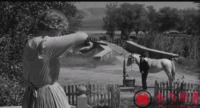 當年被嫌棄，現在卻成了恐怖美學的永恆經典，這部電影《獵人之夜》真牛！