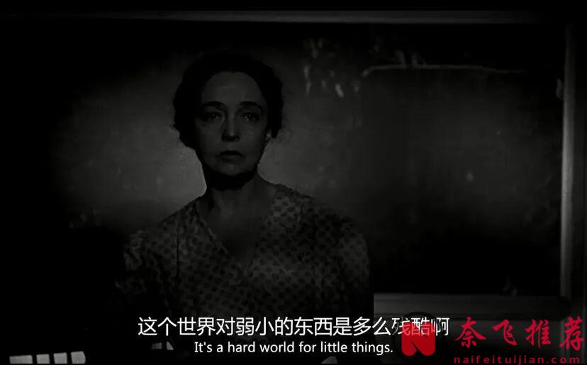 當年被嫌棄，現在卻成了恐怖美學的永恆經典，這部電影《獵人之夜》真牛！