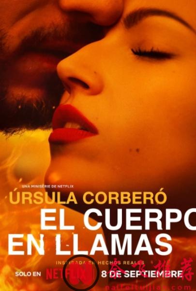 还得看Netflix网飞，这5部尺度剧真行，简直擦得没边！