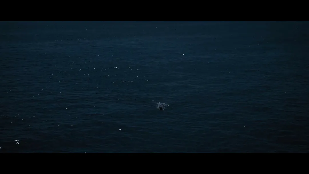 傳記《泳者之心/追浪少女》以史詩般的筆觸，講述了一段跨越時代的女性傳奇故事