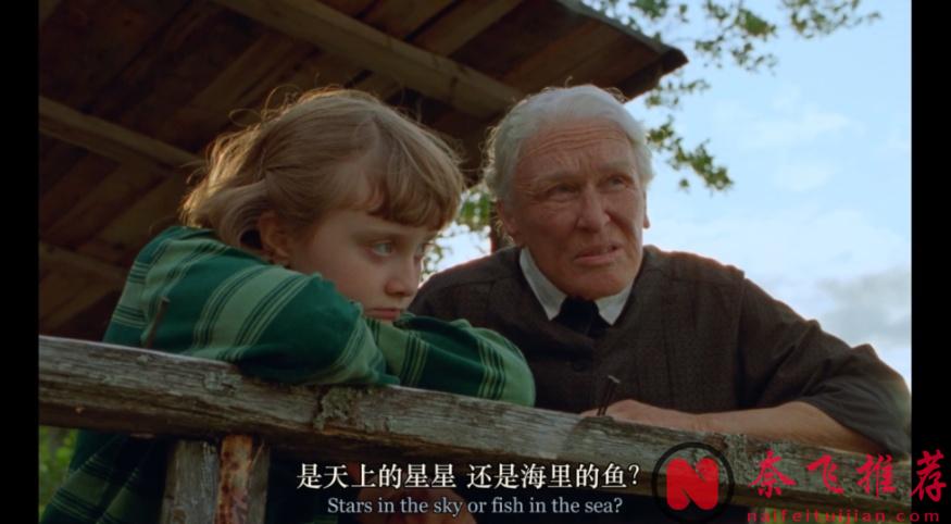 口碑爆表，年度最治癒佳作《夏日之書》來了！