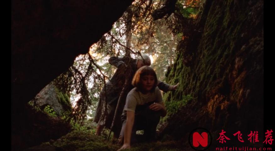 口碑爆表，年度最治癒佳作《夏日之書》來了！