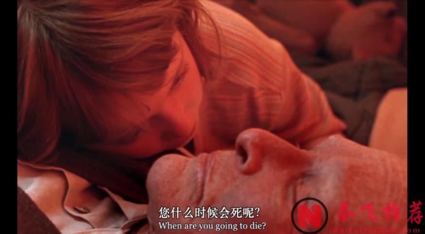 口碑爆表，年度最治癒佳作《夏日之書》來了！