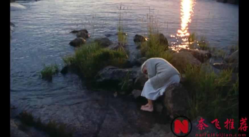 口碑爆表，年度最治癒佳作《夏日之書》來了！