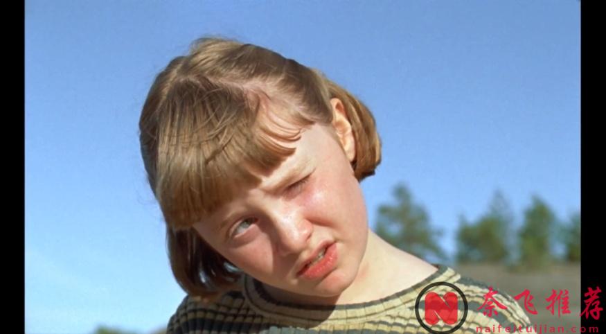 口碑爆表，年度最治癒佳作《夏日之書》來了！