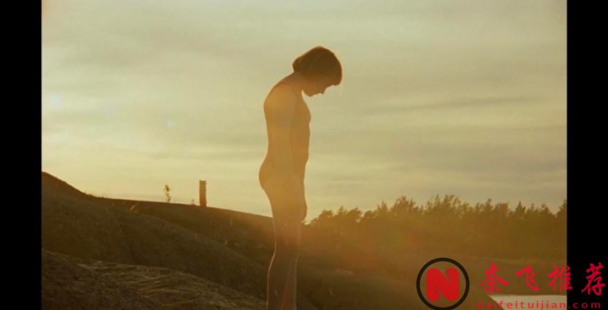 口碑爆表，年度最治癒佳作《夏日之書》來了！