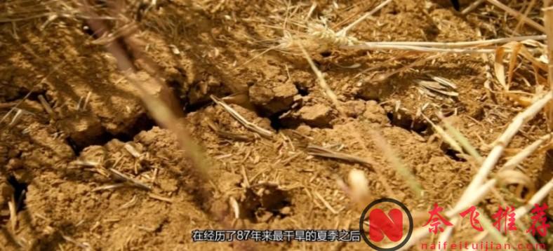 9.6分高分神剧《克拉克森的农场 第三季》，没看的抓紧入坑了！