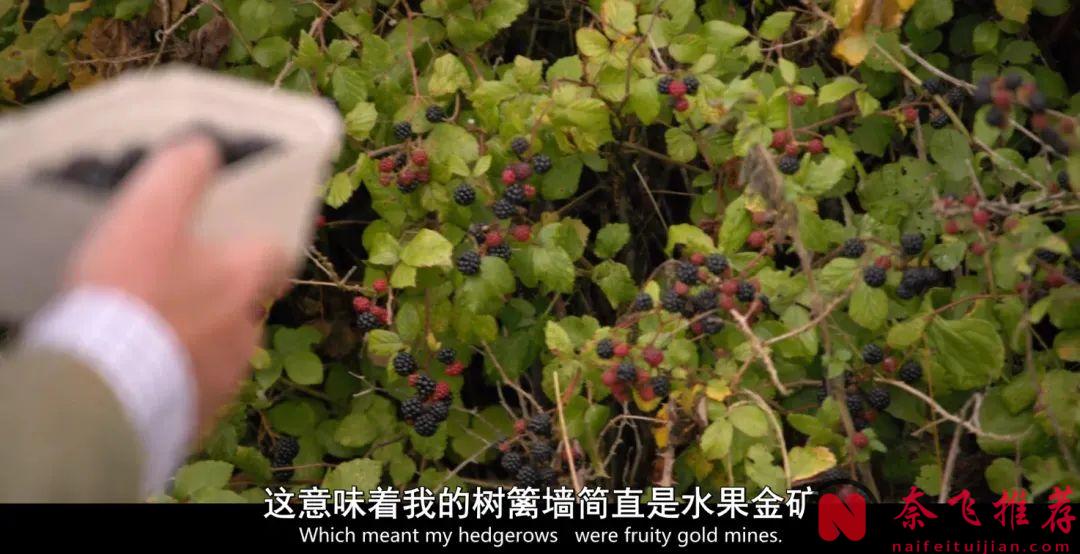 9.6分高分神剧《克拉克森的农场 第三季》，没看的抓紧入坑了！