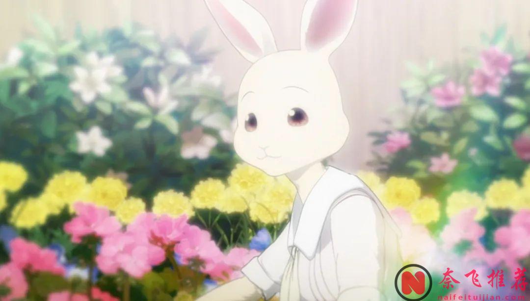 9分神作迴歸《動物狂想曲》，一言不合就開車，還是這麼太刺激！