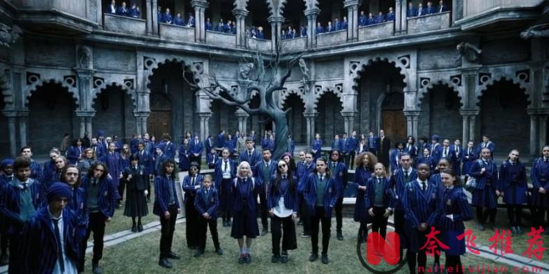 Netflix 10部封神之作，赌你没看过一半！不服来battle！